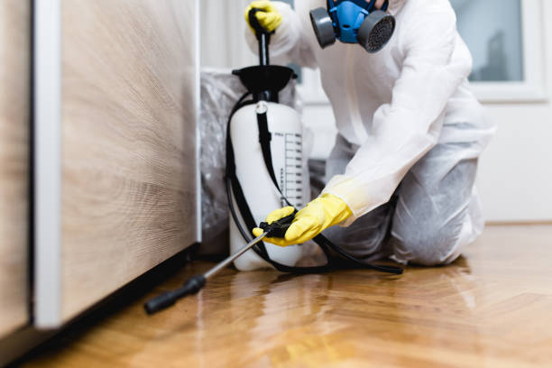 Best Local Pest Control Services  in Colchester, IL