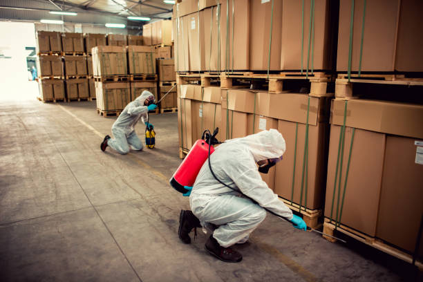 Best Pest Control for Restaurants  in Colchester, IL
