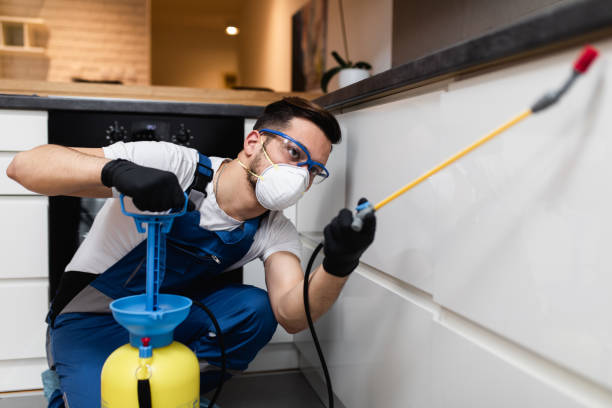 Best Wasp Removal Services  in Colchester, IL