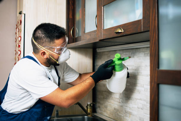 Best Emergency Pest Control  in Colchester, IL