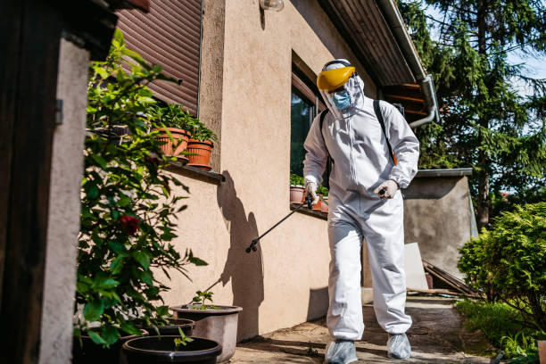 Best Flea Control Services  in Colchester, IL