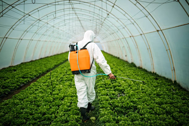 Best Affordable Exterminators  in Colchester, IL