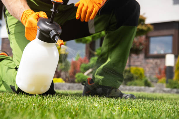 Best Bed Bug Extermination  in Colchester, IL