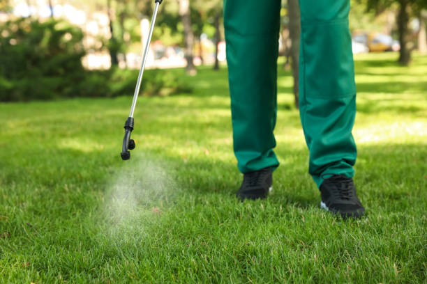 Best Rat Extermination Near Me  in Colchester, IL