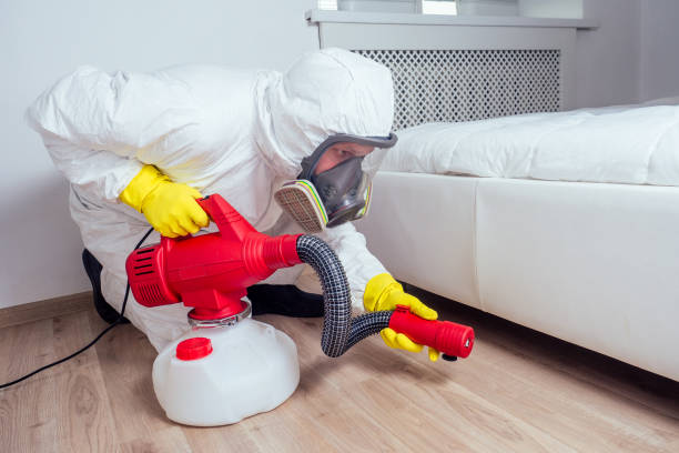 Best Spider Control Near Me  in Colchester, IL