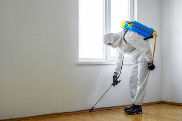 Best Pest Prevention Services  in Colchester, IL