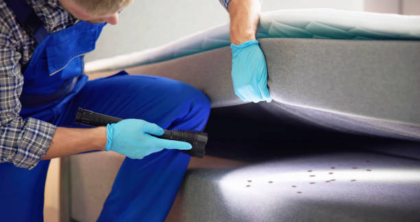 Best Pest Removal Services  in Colchester, IL