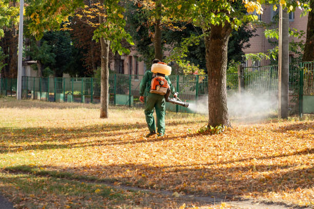 Reliable Colchester, IL Pest Control Solutions