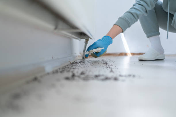 Best Pest Control Near Me  in Colchester, IL